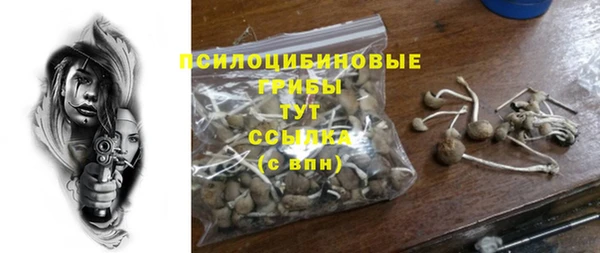 круглые Инта