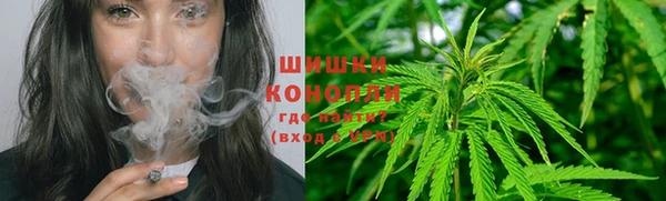 Альфа ПВП Инсар