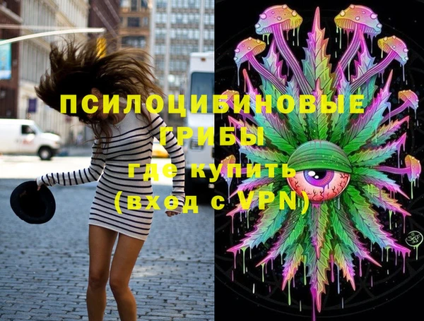 Альфа ПВП Инсар