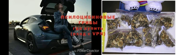Альфа ПВП Инсар