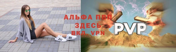 Альфа ПВП Инсар