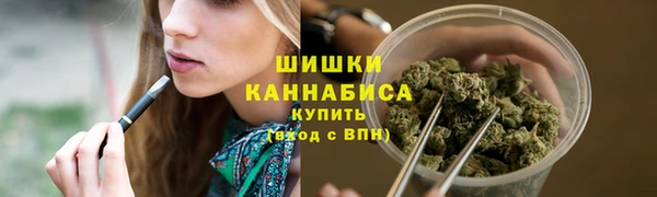 дживик Иннополис