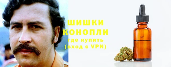 дживик Иннополис