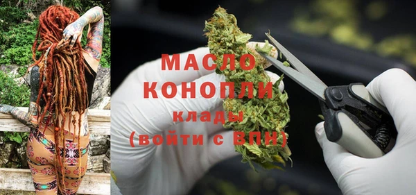 Альфа ПВП Инсар